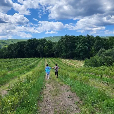 Venera Casa vacanze Kosjeric