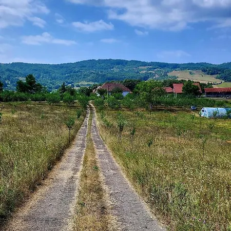 Venera Casa vacanze Kosjeric