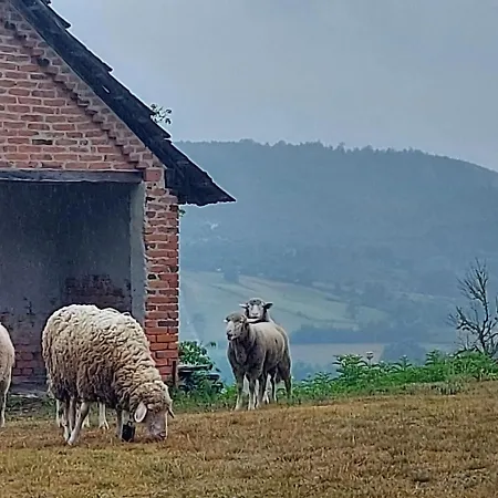 Venera Casa vacanze Kosjeric