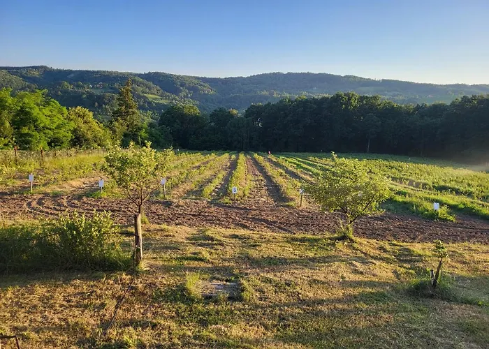 Venera Σπίτι διακοπών