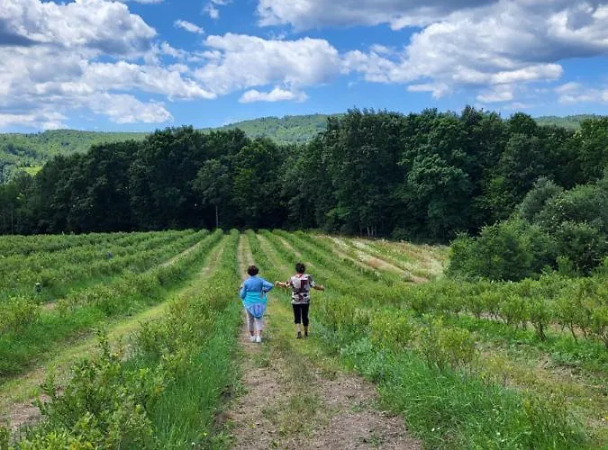 Venera Dom wakacyjny Kosjeric