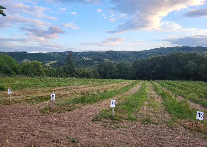 Σπίτι διακοπών Venera