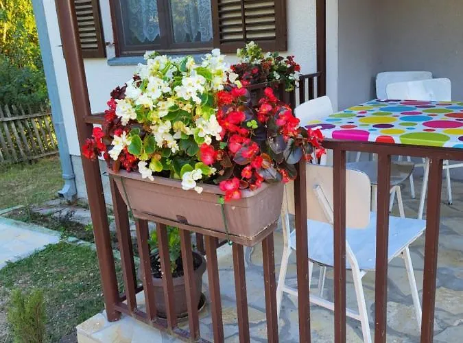 Venera Dom wakacyjny *