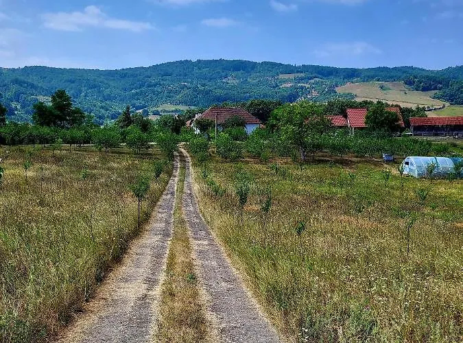 Venera Dom wakacyjny Kosjeric