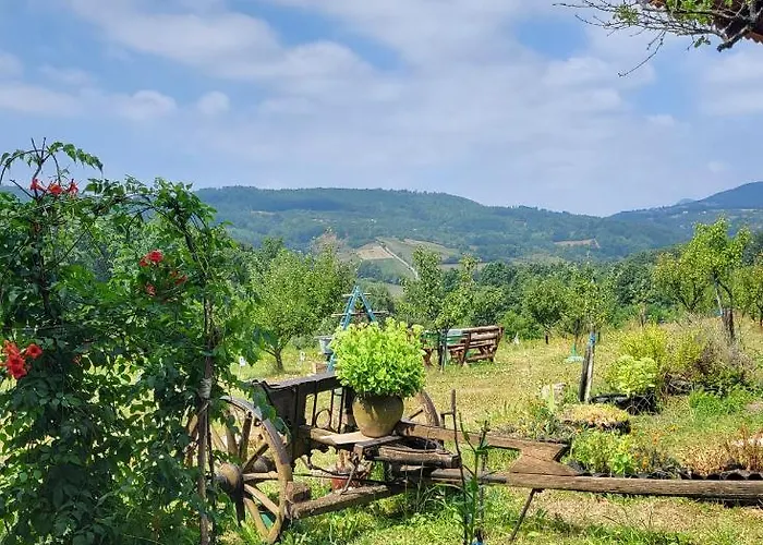 Venera Σπίτι διακοπών Kosjeric