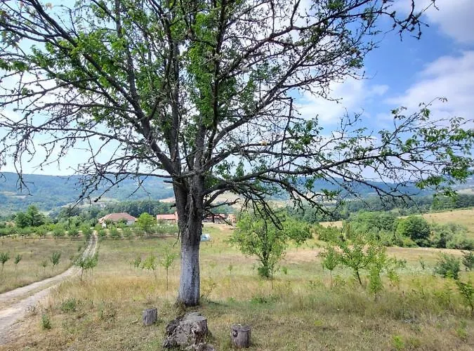 Σπίτι διακοπών Venera Kosjeric