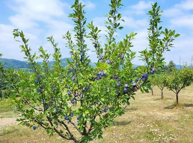 Σπίτι διακοπών Venera