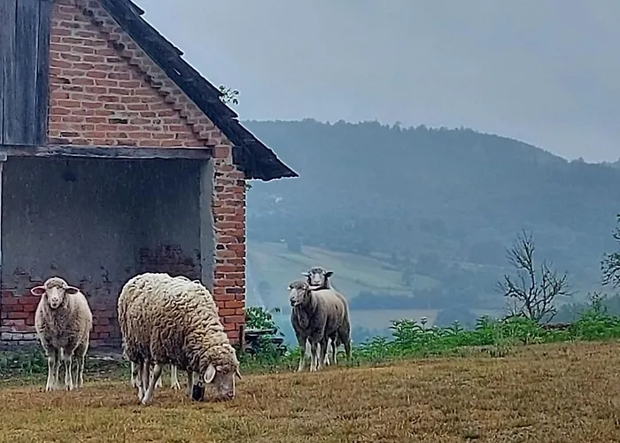 Venera Σπίτι διακοπών Kosjeric