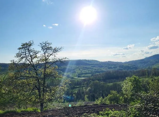 Venera Σπίτι διακοπών